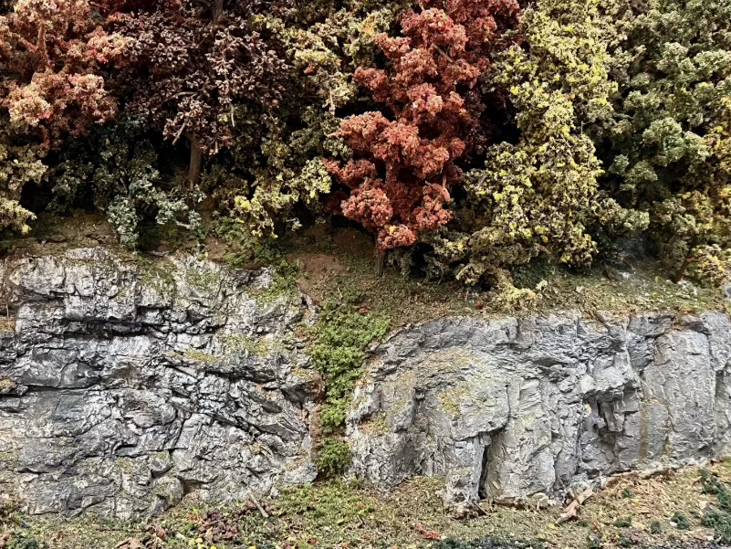 Ground Cover And Shrubs